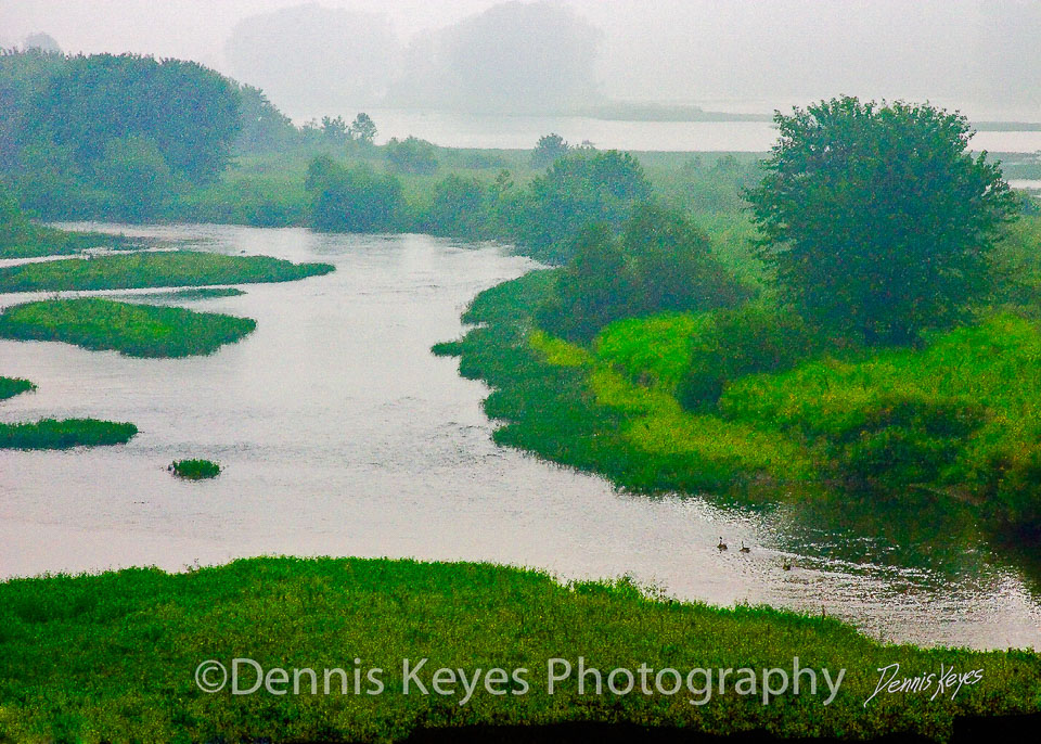 allegheny_river_parker_ducks.jpg