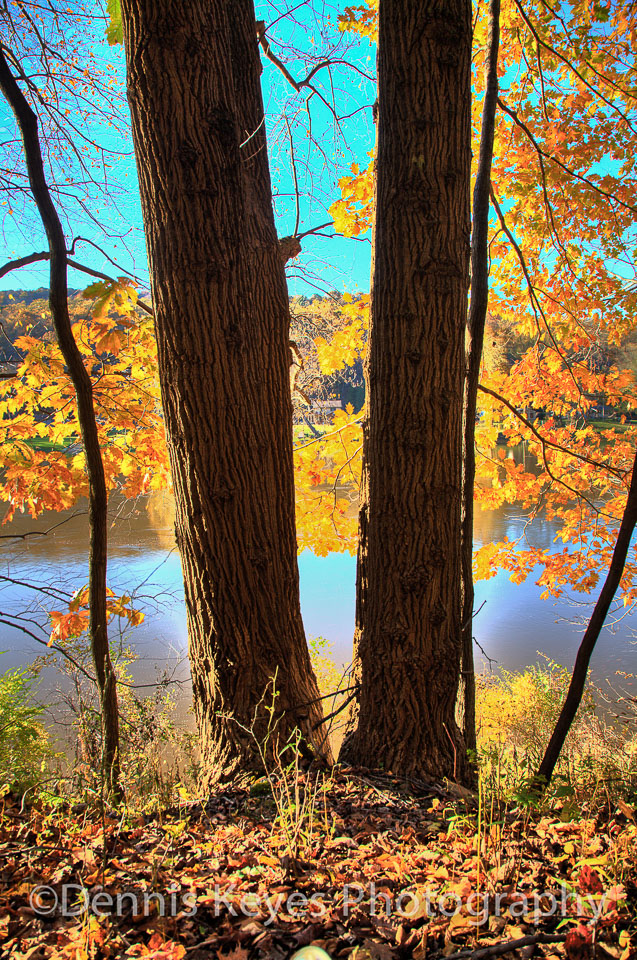 biking-emlenton-autum-2019-130_1_2.jpg