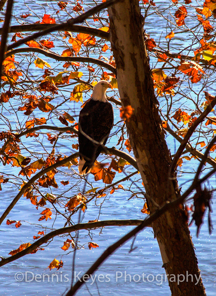 biking-emlenton-autum-2019-72_3_4.jpg