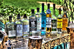 Jaguar Tasting Bar