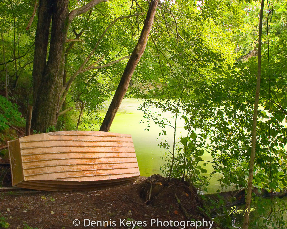 rowboat_pond_8x10.jpg