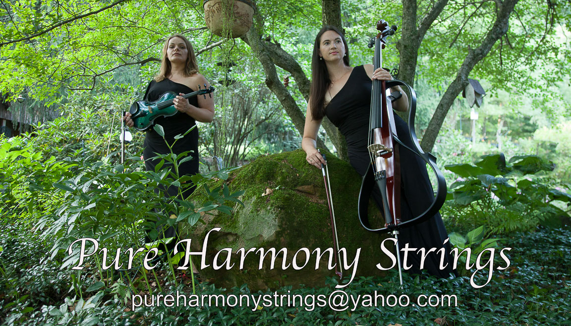 pure-harmony-strings-web12.jpg