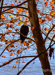 Pennsylvania